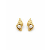 Sea Shell Earring image 0