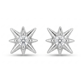 Spiked earrings D487