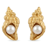 Sea Shell Earring