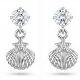 SEASHELL EARINGS