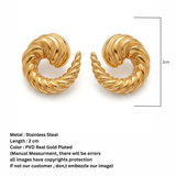 Spiral earrings_D284