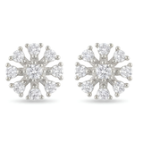 Stella EARINGS