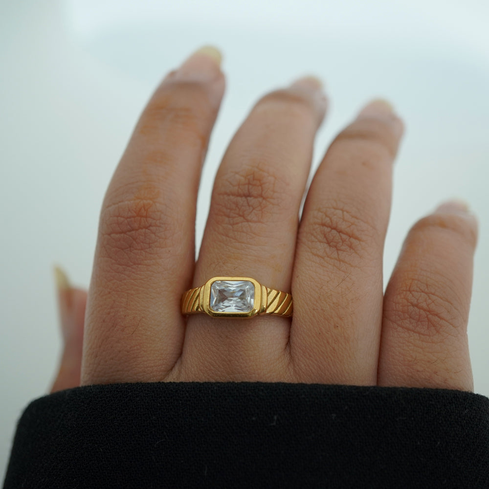 Sebastian Ring image 2