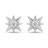 Spiked earrings D487