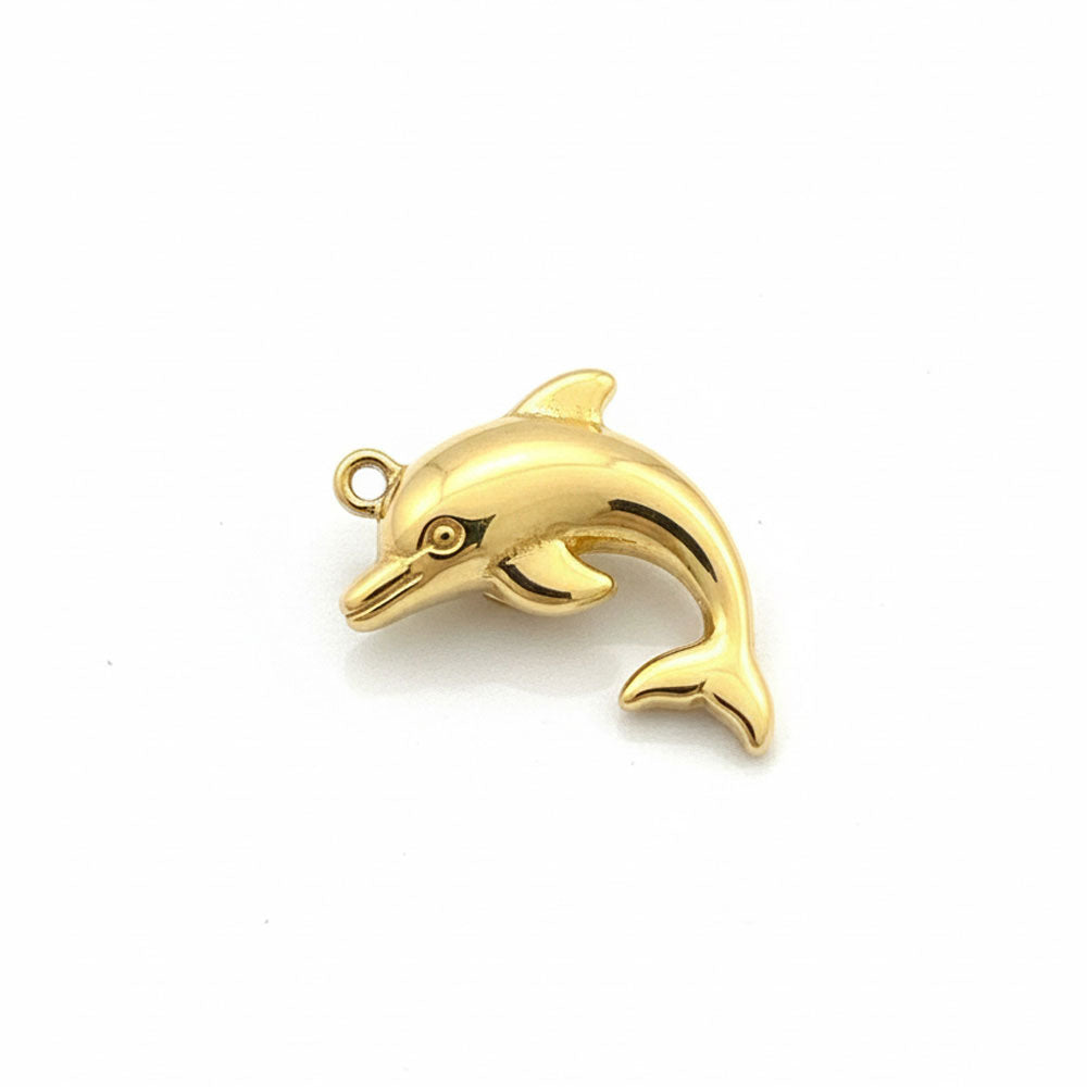Big Dolphin Charm image 0